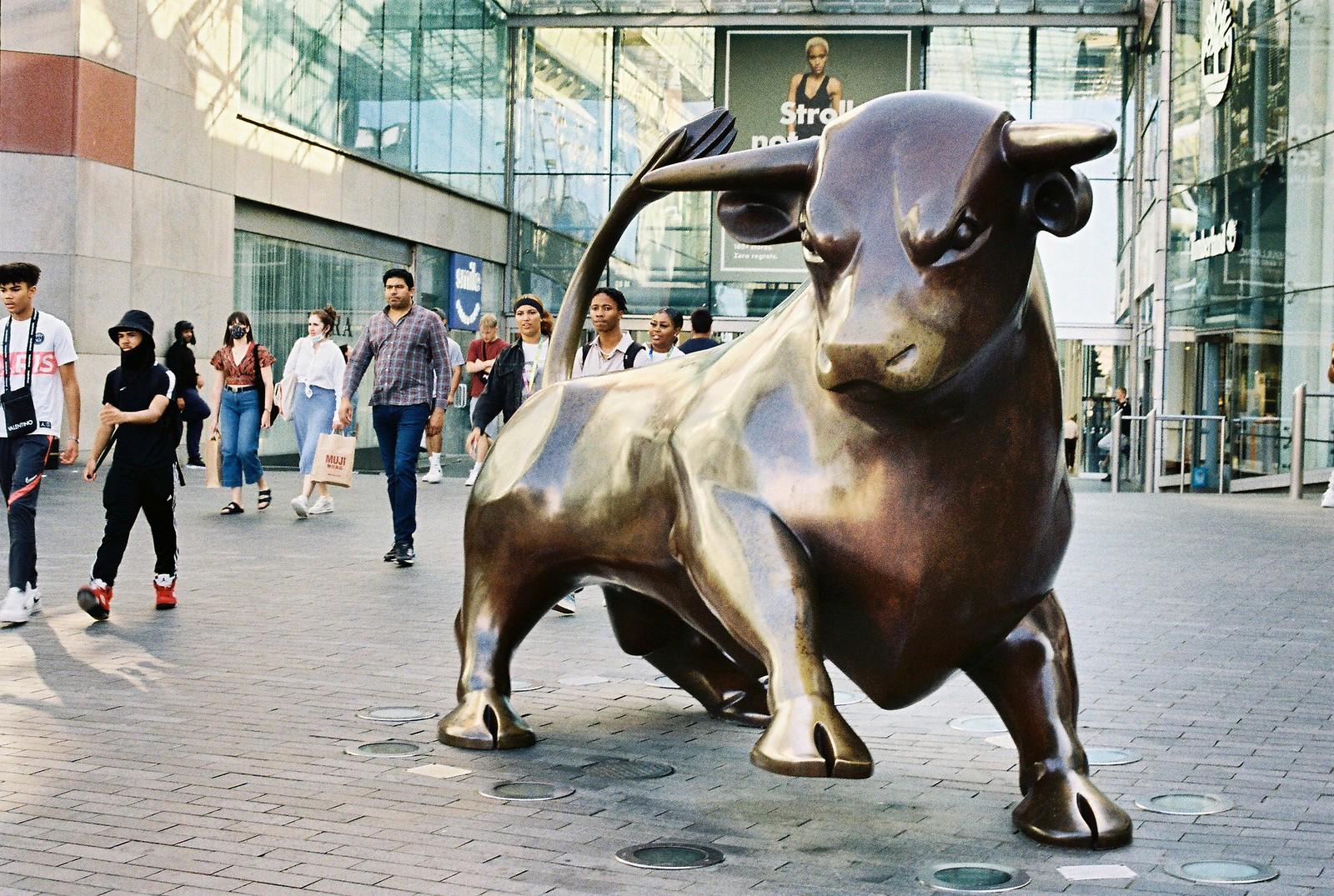 Birmingham Retailers Navigate Economic Shifts: Essential Market Trends Today