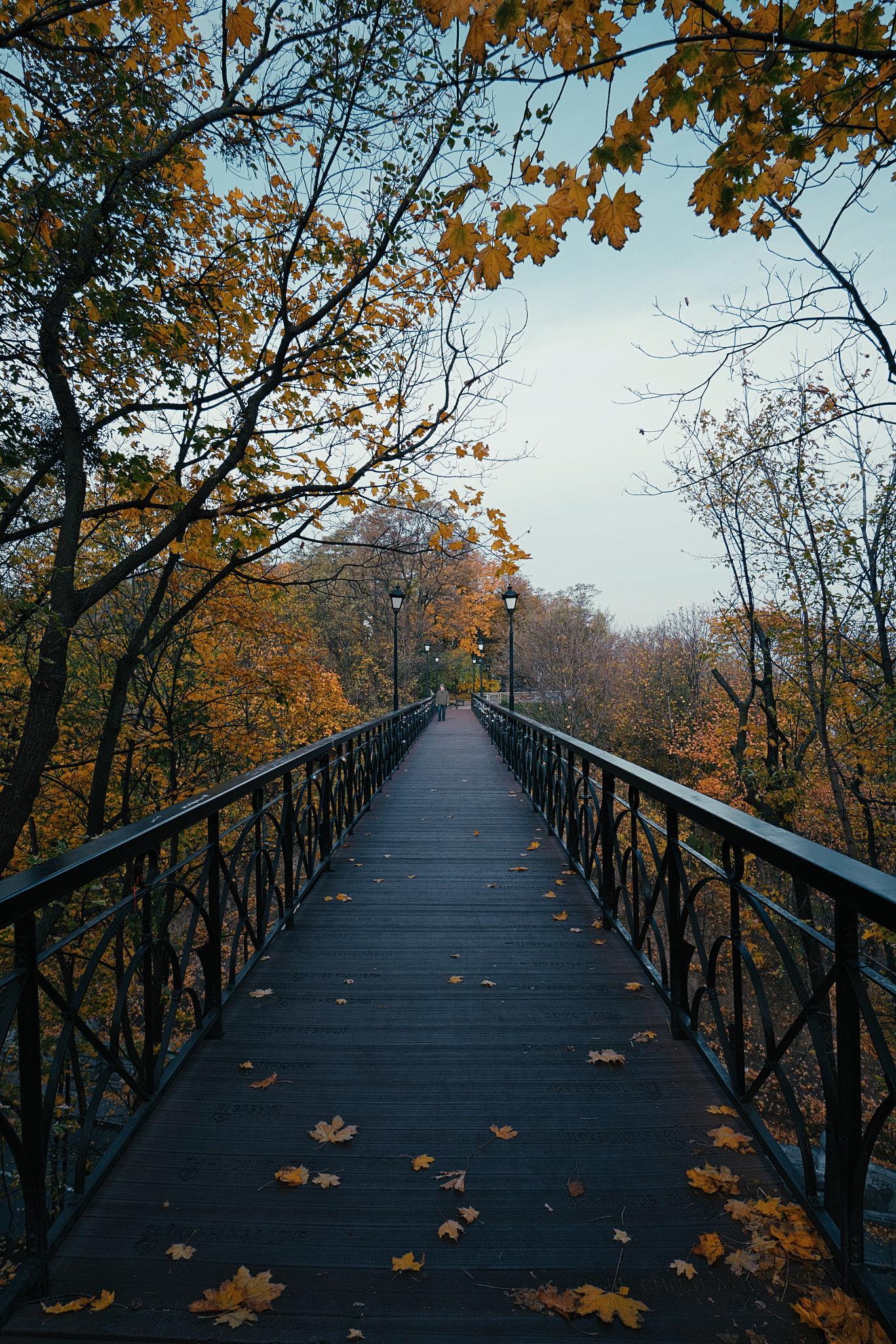 Park Bridge